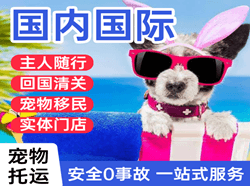 盐城南洋机场空运国际宠物托运 【国